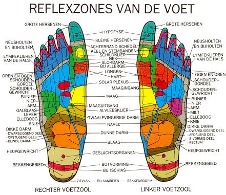 Kleurrijke reflexzone-kaart van de linker- en rechtervoetzool met aangeduide zones die corresponderen met organen en lichaamsdelen